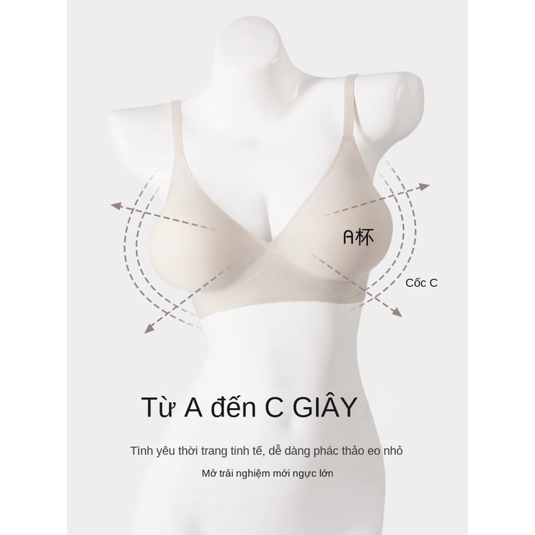Áo Lót Nâng Ngực Không Gọng Thép Thiết Kế Dày Dặn Thời Trang Dành Cho Nữ