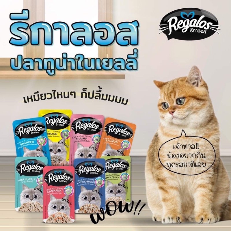 [ 70g ] Pate Regalos cho mèo 15 vị 🐈 MADE IN THAILAND 🇹🇭