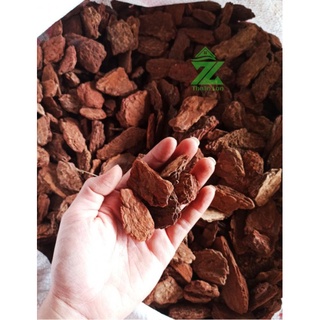 Vỏ thông xay bo size 3-4cm túi 1kg