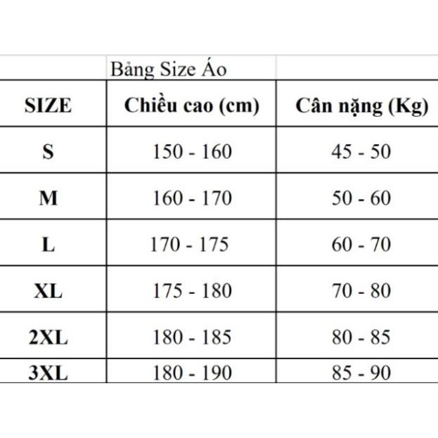 (CÓ SẴN) Áo Thun Champion - Champion Tee chữ và logo THÊU kèm tag bên dưới vạc áo