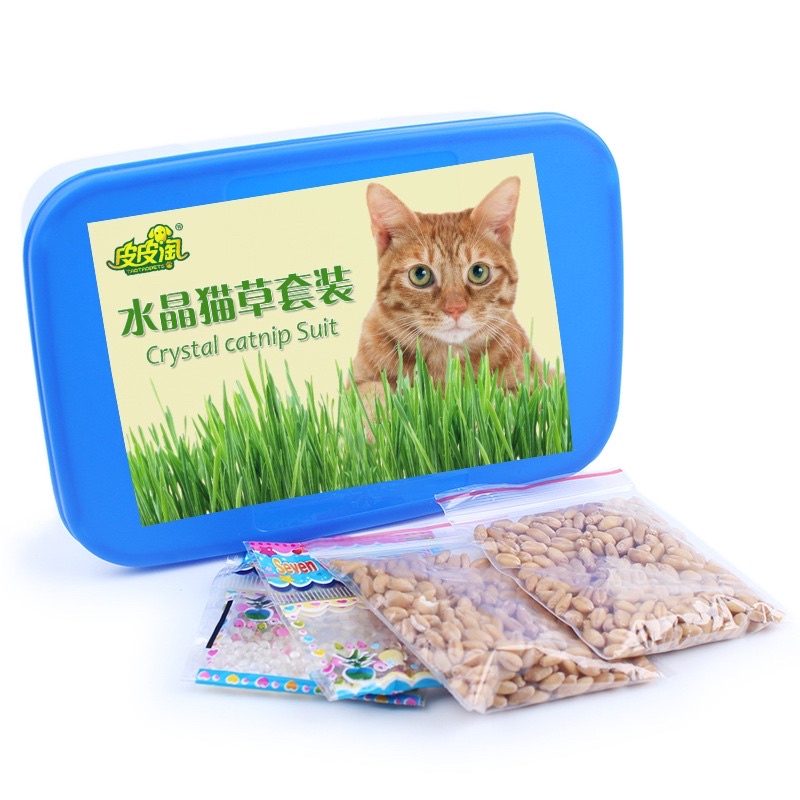 Cỏ mèo tự trồng Cat Grass 30g hạt lúa mạch