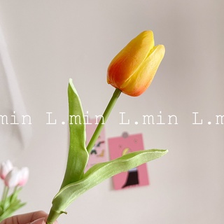 Hoa Tulip decor loại 1 (hoa màu pastel) L.min