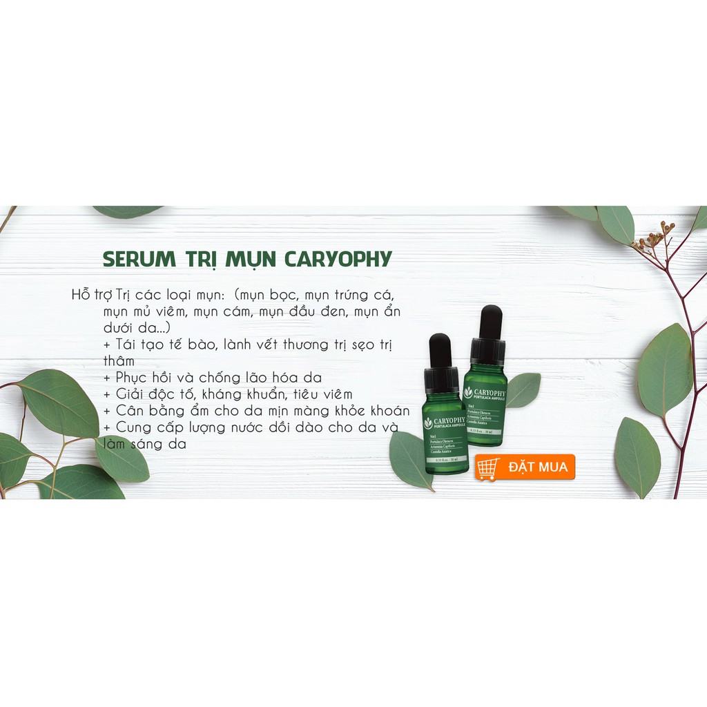 Serum Giảm mụn và thâm Caryophy Chính Hãng