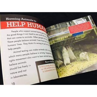 [Freeship]Bộ Nhập - Full 30c - POINTS OF VIEW (For 7 Age)