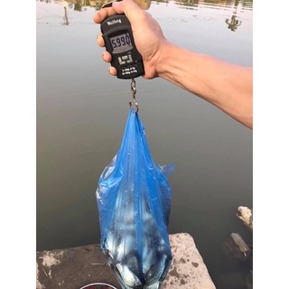 Cân Điện Tử Cầm Tay