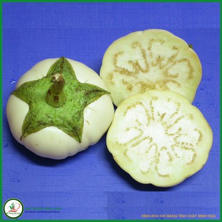 Hạt giống Cà dĩa _ Bạch Tuyết TN 81A - 1g