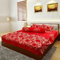 Bộ chăn ga chun +gối ko trần