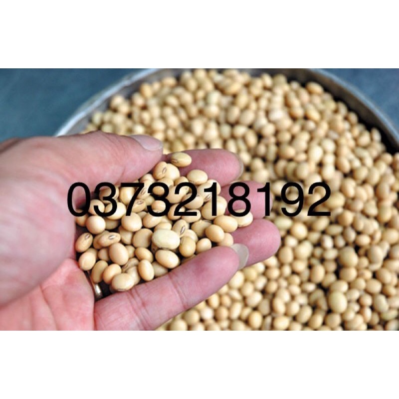 Đậu nành 1kg