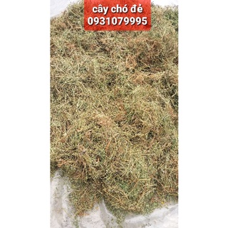 cây chó đẻ phơi khô 1kg