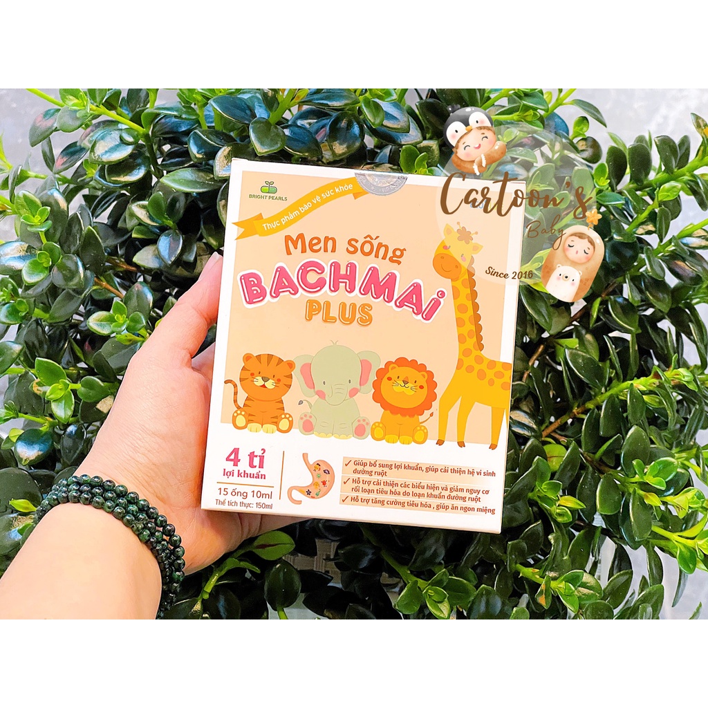 Men sống bạch mai plus & Enzym Bạch Mai