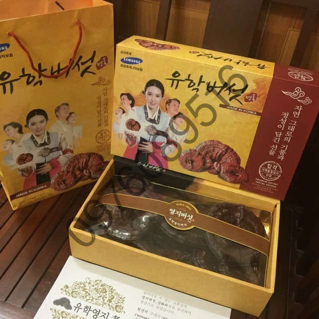 NẤM LINH CHI ĐỎ HÀN QUỐC 1KG - HỘP CÔ GÁI (CÁNH NẤM TO)