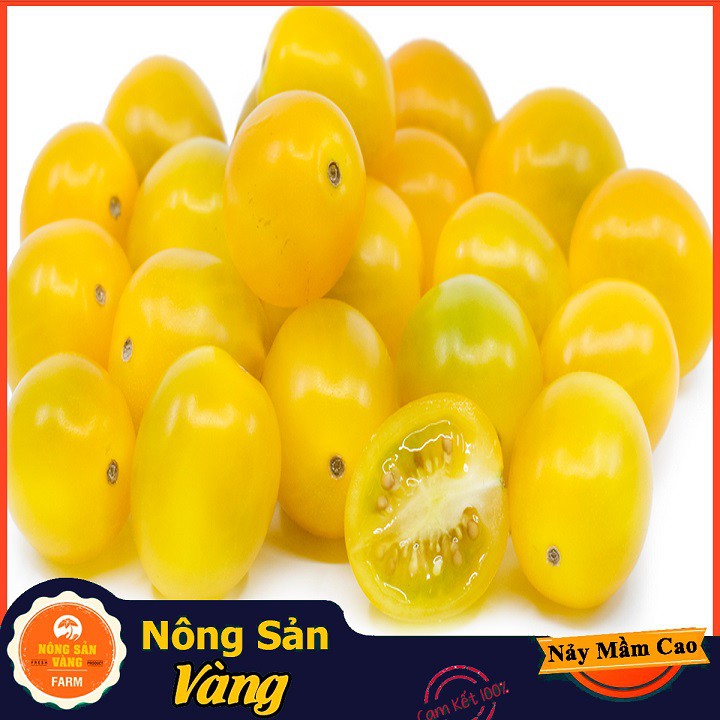 Hạt giống Cà Chua Bi Vàng Lùn ( Gói 0,1g ) - Nông Sản Vàng