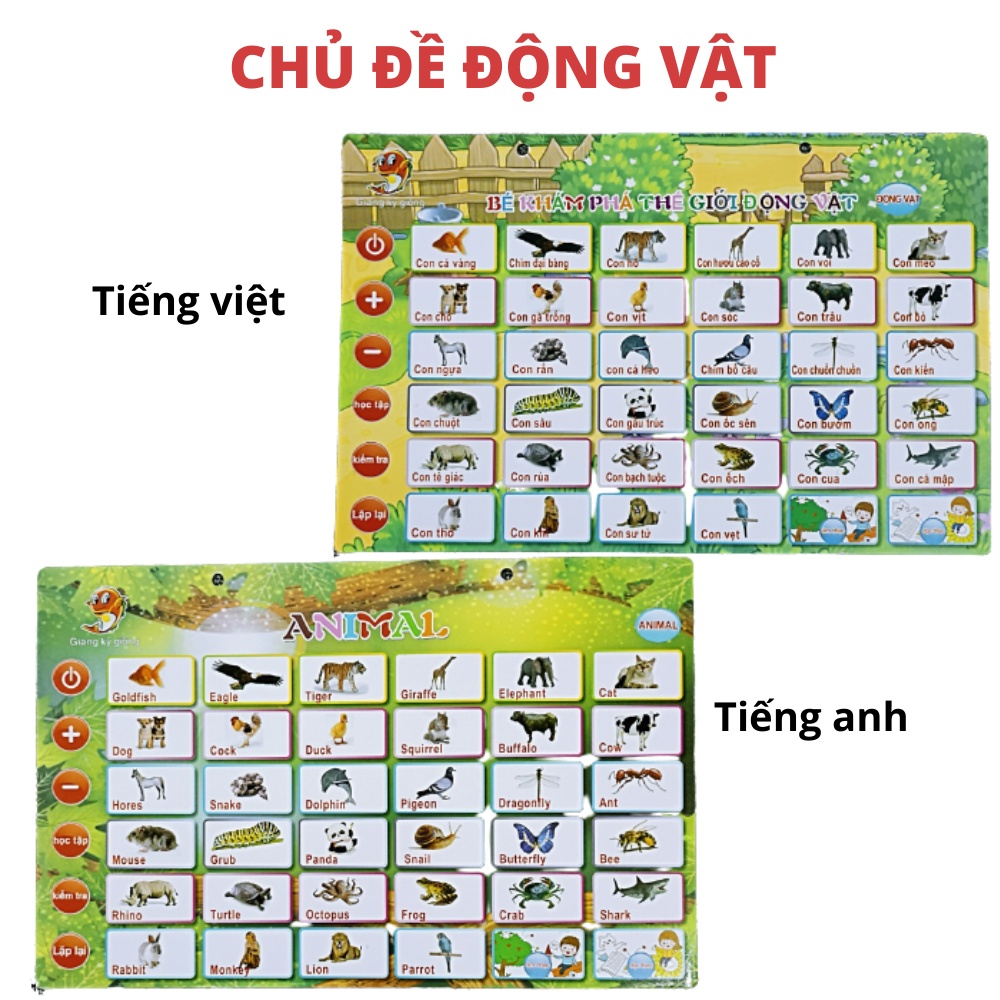Bảng Đọc Chữ Cái Điện Tử Thông Minh Đa Năng 5 Tờ Cho Bé - Chủ Đề Song Ngữ Anh - Việt - 1 bộ