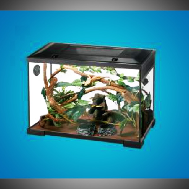 Hồ nuôi các loại bò sát Aquablue TTC-500