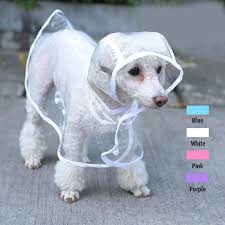 Áo mưa cho chó mèo