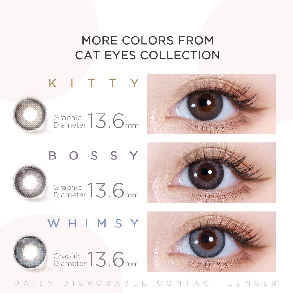 Hộp 10 kính áp tròng Moody bộ sưu tập Cat Eyes màu FUZZY 14.2mm sử dụng hàng ngày