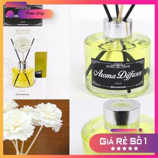 ( LTTP ) Tui dung Tinh dầu Aroma Diffuser