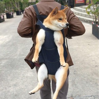 Balo Corgi cho chó đi chơi Túi đeo lưng cho thú cưng Shiba Inu Fadou Golden Retriever Túi đi chơi di động