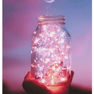 Dây đèn fairy light đom đóm loại dùng pin