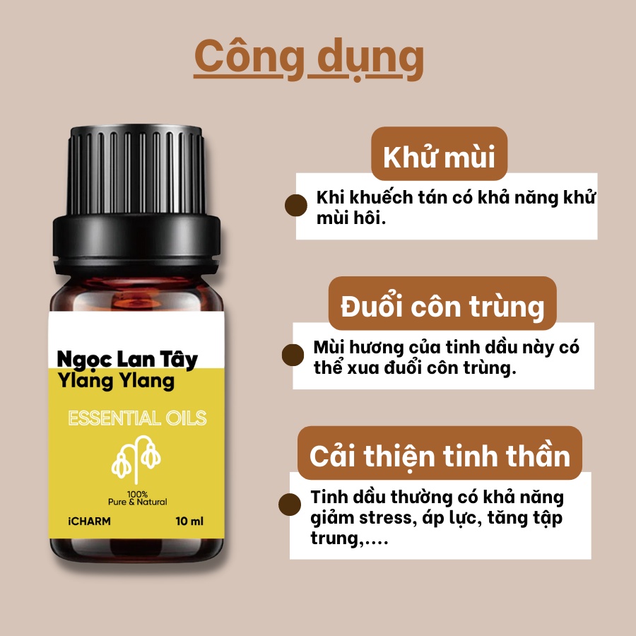 Tinh dầu ngọc lan tây xông phòng 10ml, 50ml iCHARM - 100% Nguyên chất, Không pha loãng, Không tạp chất