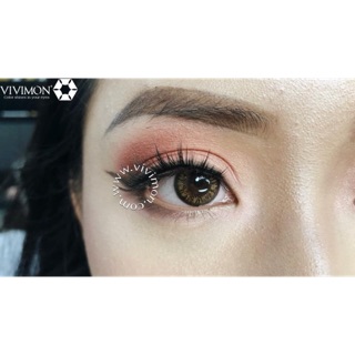 Kính áp tròng - lolita/avanue brown lens