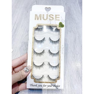 lông Mi giả Muse