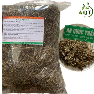 Cây Mần Ri Khô 1kg Chất Lượng, Tốt Cho Người Thoát Vị Đĩa Đệm