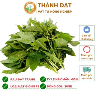 Hạt giống rau đay trắng gói 20gr