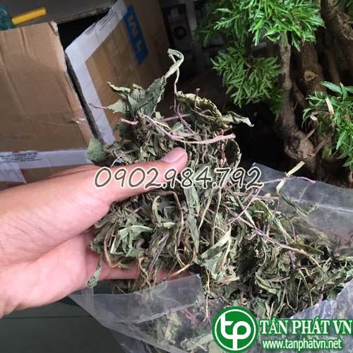 Lá bồ công anh sấy khô 200g