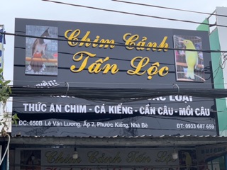 Cám Chim Bifood Chào Mào