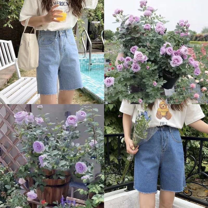 𝐙𝐢𝐧𝐧𝐢𝐚/𝐐𝐮𝐚̂̀𝐧 𝐬𝐡𝐨𝐫𝐭𝐬 𝐣𝐞𝐚𝐧𝐬 𝐨̂́𝐧𝐠 𝐥𝐮̛̉𝐧𝐠 𝐤𝐢𝐞̂̉𝐮 𝐝𝐚́𝐧𝐠 𝐧𝐚̆𝐧𝐠 đ𝐨̣̂𝐧𝐠