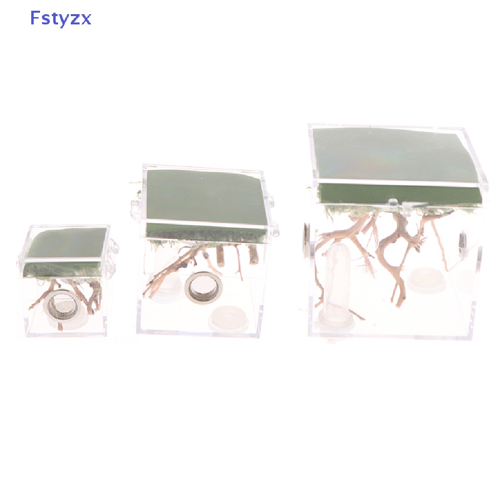 Fstyzx Hộp Nuôi Bò Sát / Côn Trùng Nhỏ Trong Suốt
