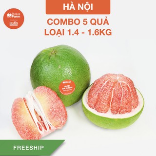 [HN] COMBO 5 QUẢ LOẠI 1.4 - 1.6KG BƯỞI DA XANH TIỀN GIANG VƯỜN LÃO VỎ MỎNG, RUỘT HỒNG TƯƠI NGON