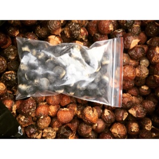 Bồ hòn tách hạt loại 1