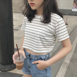 Áo dáng ngắn tay kẻ TKP95 1994closet