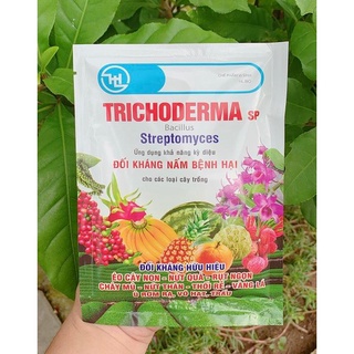 Nấm Đối Kháng Trichoderma SP Bacillus - Streptomyces - 100Gr