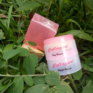 Combo Kem Collagen Plus + Soap