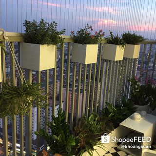 chậu hoa composite chống nước vuông