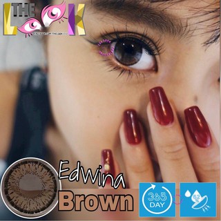 CONTACT LENS MÀU BROWN - NÂU HẠT DẺ - GIÃN TRÒNG - CÓ ĐỘ