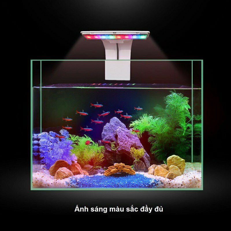 Đèn led màu kẹp XML dùng cho hồ cá thủy sinh