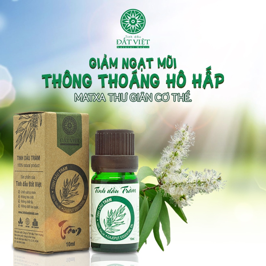 Tinh Dầu Tràm Nguyên Chất Đất Việt chăm sóc sức khỏe Mẹ và Bé