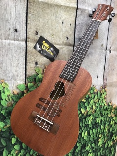 Đàn Ukulele Concert Thỏ Rabbit ❤️