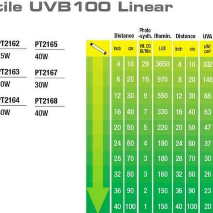 Đèn Uvb 25w / Torto Hình Rùa Syahrilmarbun88