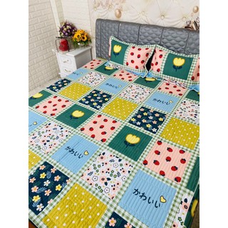 Bộ ga gối chun trần 3 món 2mx2m2