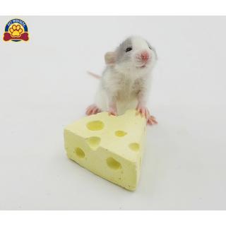 Phụ kiện đá mài răng hình bánh phô mai cho chuột cưng hamster