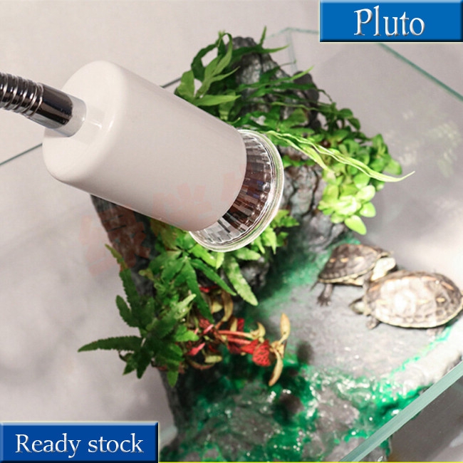 Đế Đèn Sưởi Ấm Cho Rùa Cưng 220v