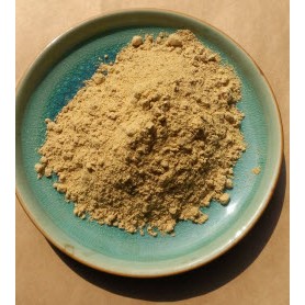 Bột đương quy nguyên chất - 100g