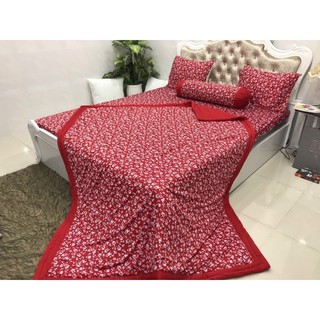 Bộ Drap Thun Hàn Quốc mát lạnh 4 món (Inbox nhiều mẫu lựa chọn)