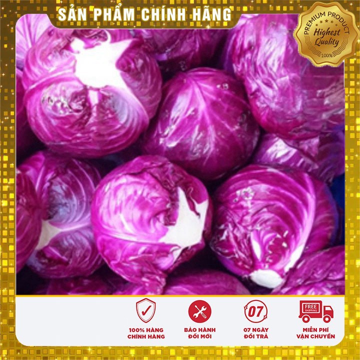 Hạt giống Bắp Cải Tím F1