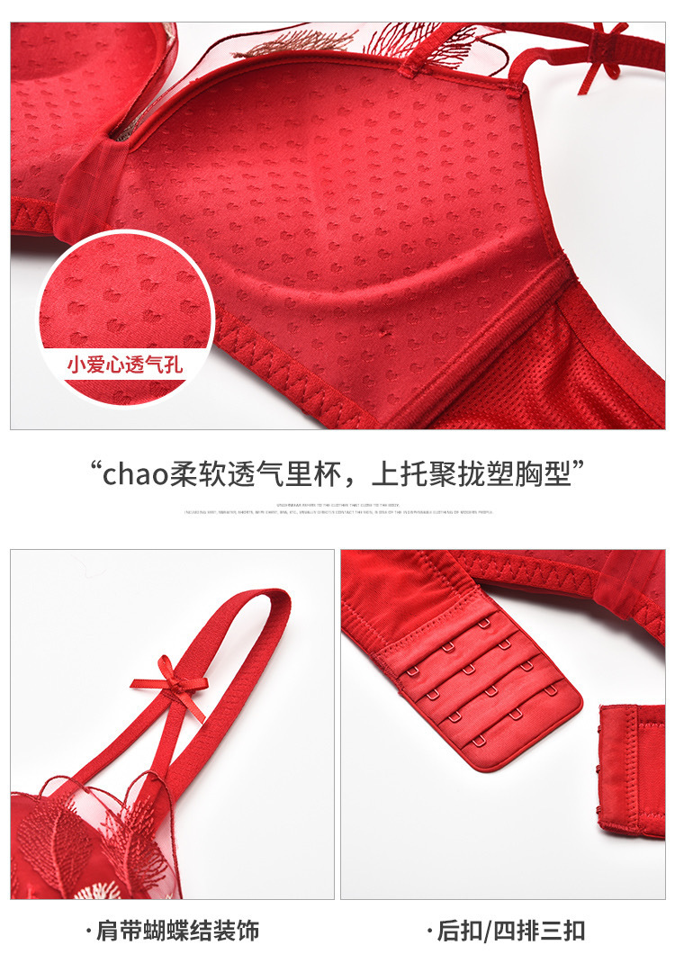 Áo Lót Nâng Ngực Phối Ren Quyến Rũ Dành Cho Nữ Size 32-38ab | BigBuy360 - bigbuy360.vn